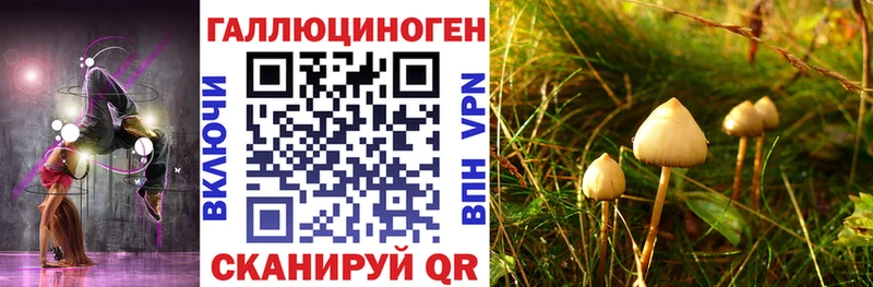 где купить наркотик Жуковский Псилоцибиновые грибы Psilocybine cubensis